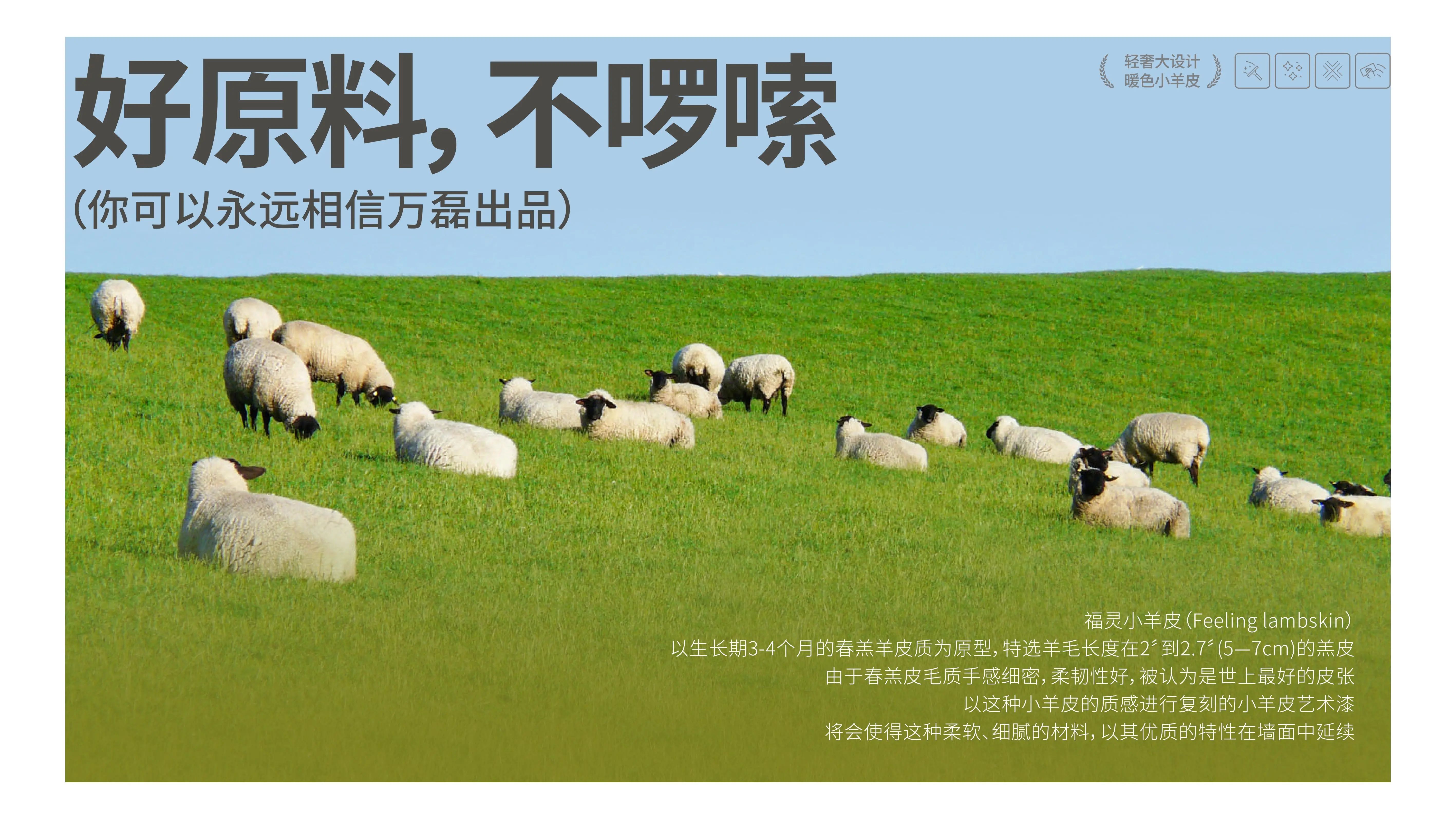萬磊福靈小羊皮來啦！多樣的表面質(zhì)感等您來解鎖~