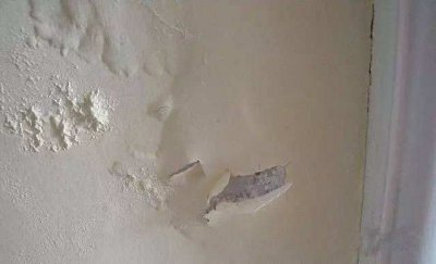 硅藻泥和乳膠漆哪個(gè)好？看一下便知道