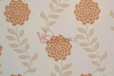 硅藻泥VS乳膠漆哪個(gè)好？
