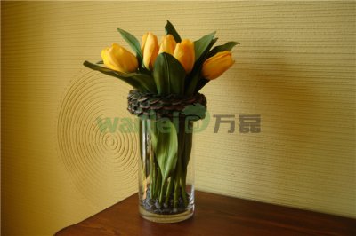 有了硅藻泥，新房入住不再等！
