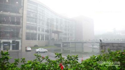驚蟄過，春雨至，硅藻泥讓你告別濕轆轆